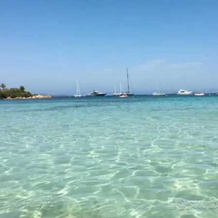 Bouganville Porto Rotondo