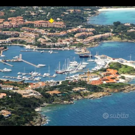 Bouganville