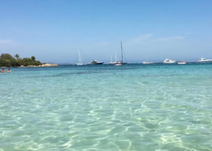 Bouganville Porto Rotondo